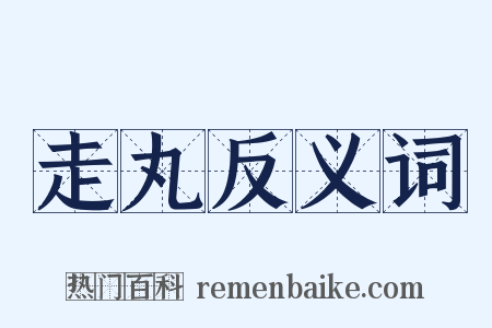 走丸反义词是什么意思的图片